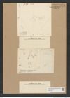 Diatomeae indet. Zeichnungen Sammlung Grunow Nr. 7992 (NHMW-BOT-W0377286)